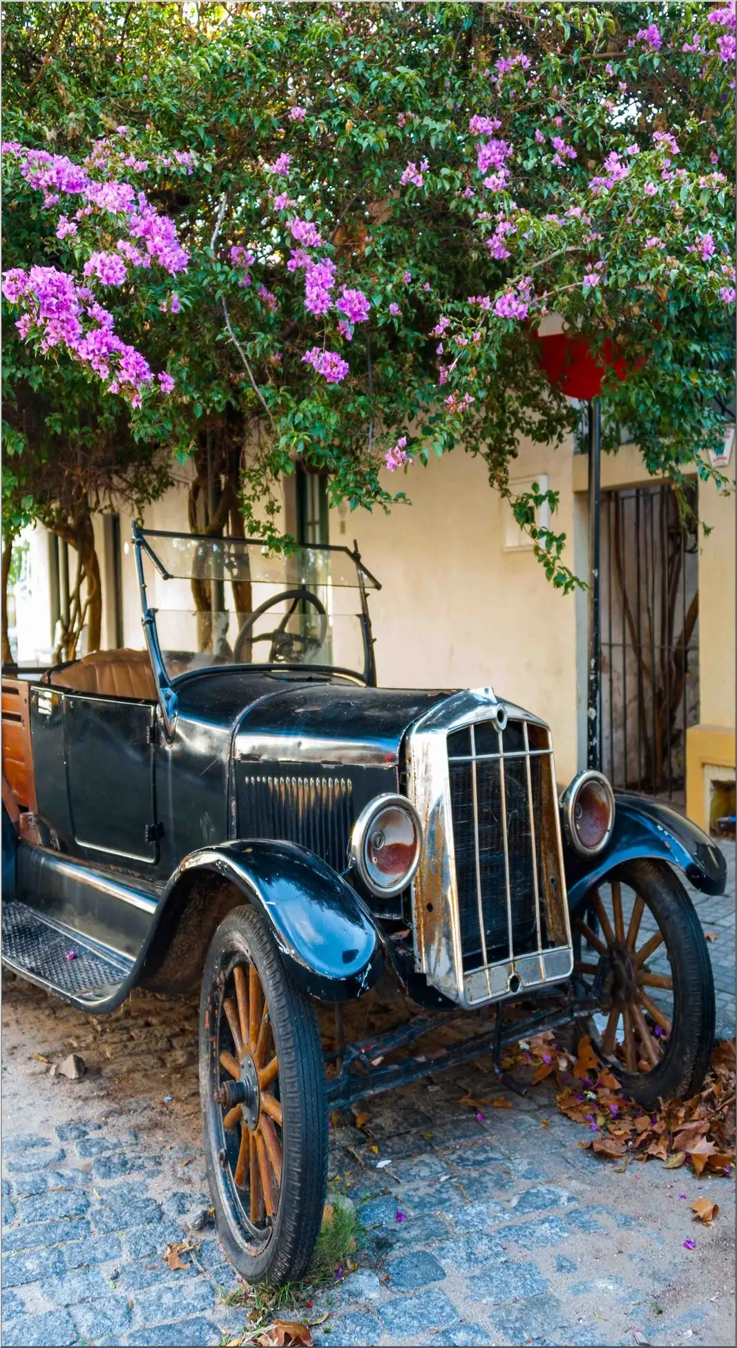 Oldtimer Schwarz Cabrio Blüten Vorm Haus