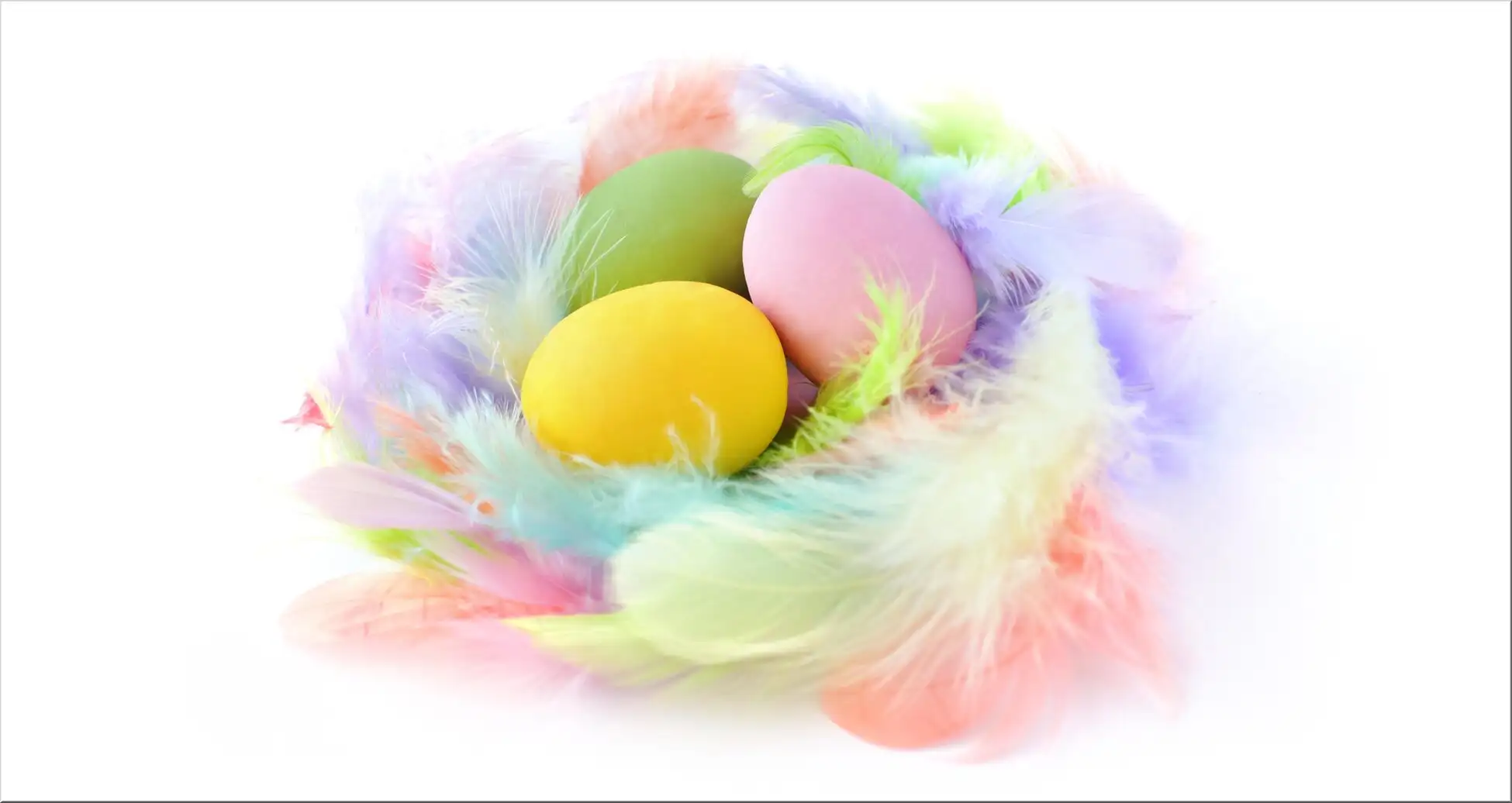 Bunte Eier Im Federnest